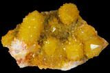 Sunshine Cactus Quartz Crystal - South Africa #98388-1